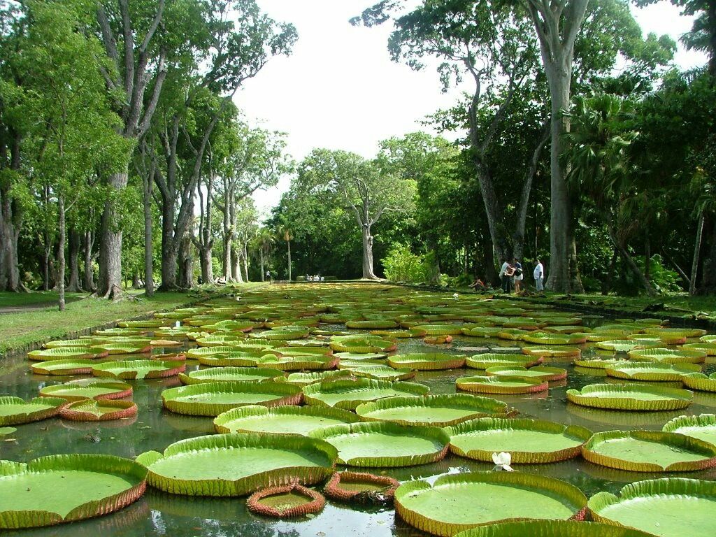 National Botanical Garden