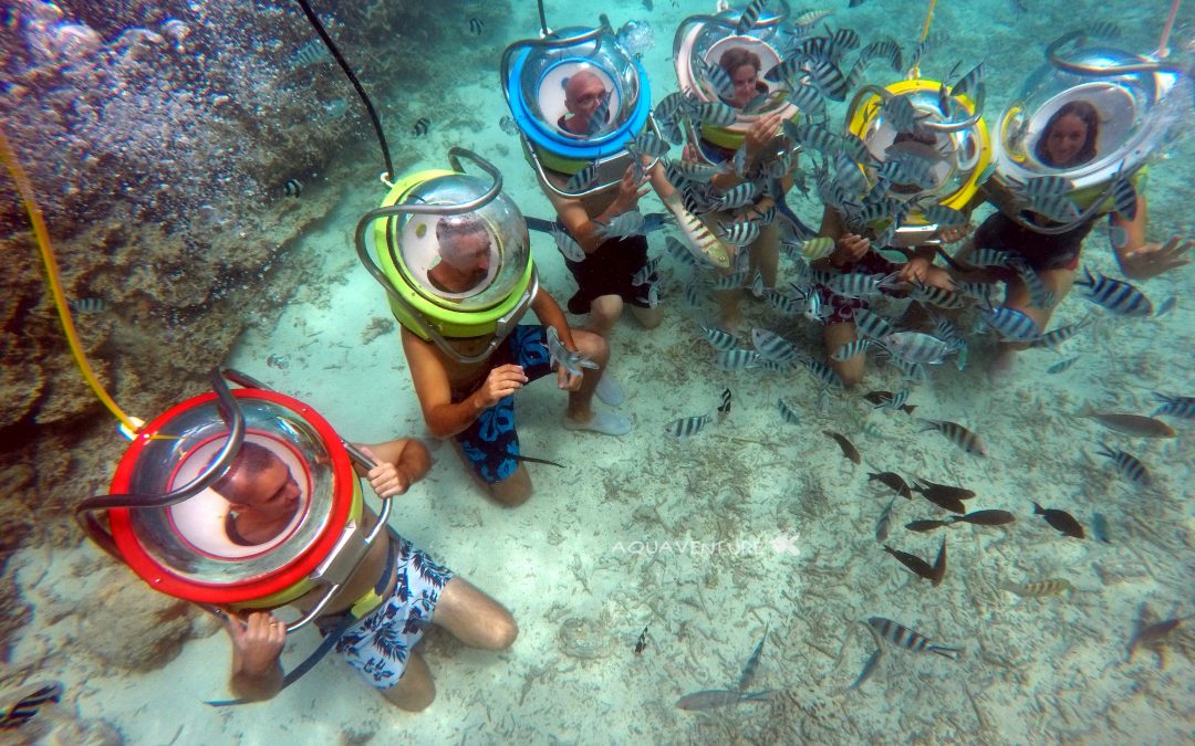 Mauritius Underwater Sea Walk