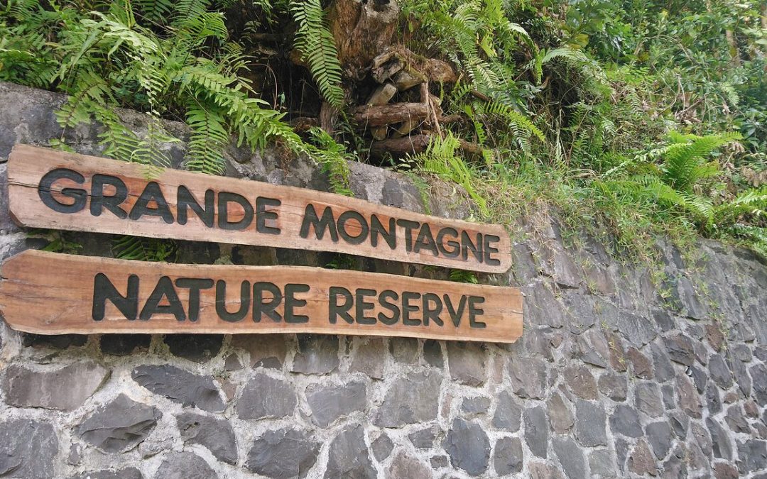 Grande Montagne Nature Reserve