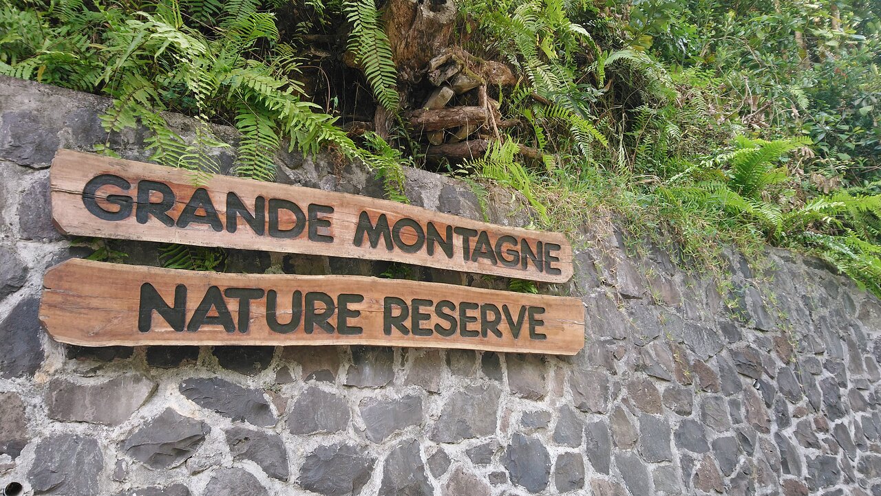 Grande Montagne Nature Reserve