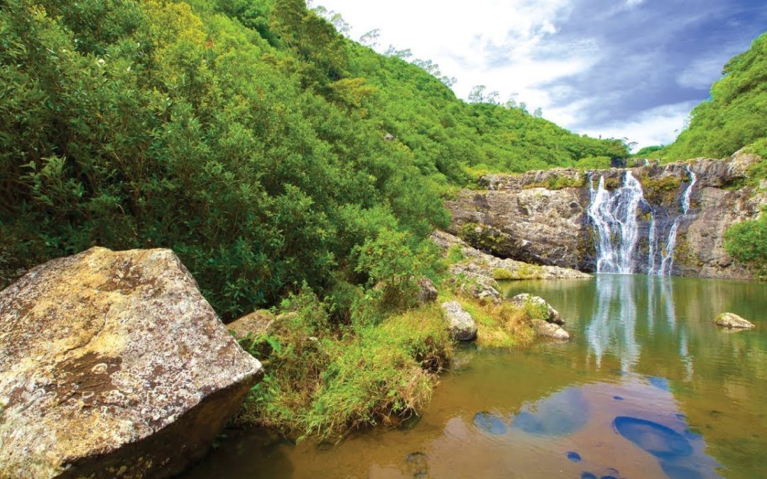 Tamarind Waterfalls