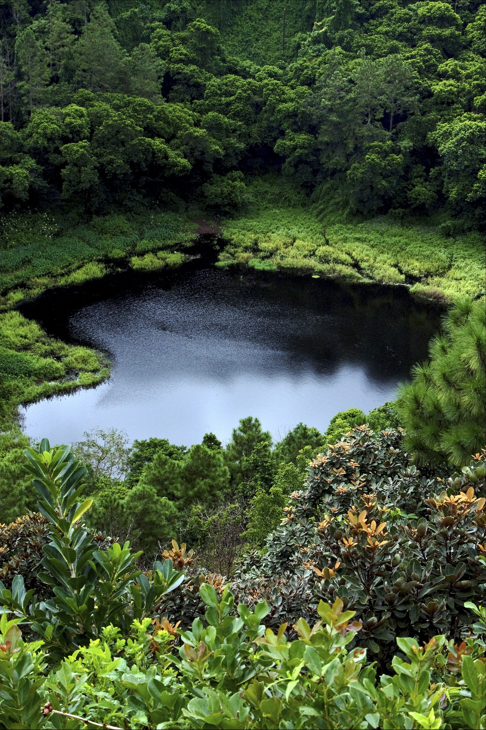 Trou Aux Cerfs crater