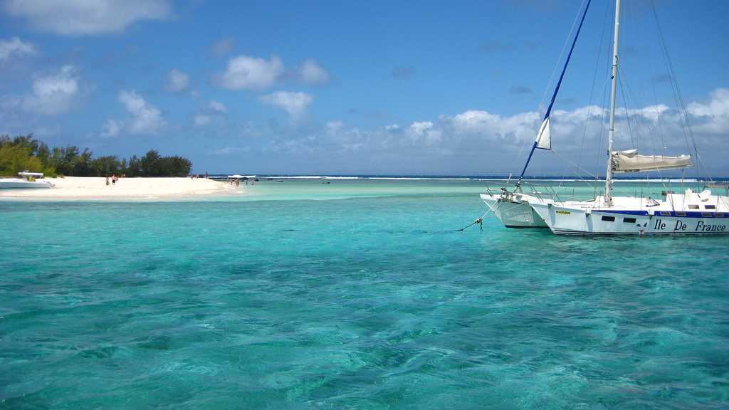 The Catamaran