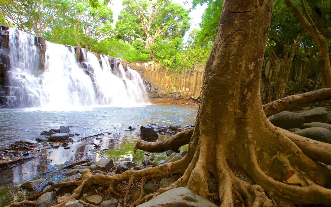 Black River Gorges National Park