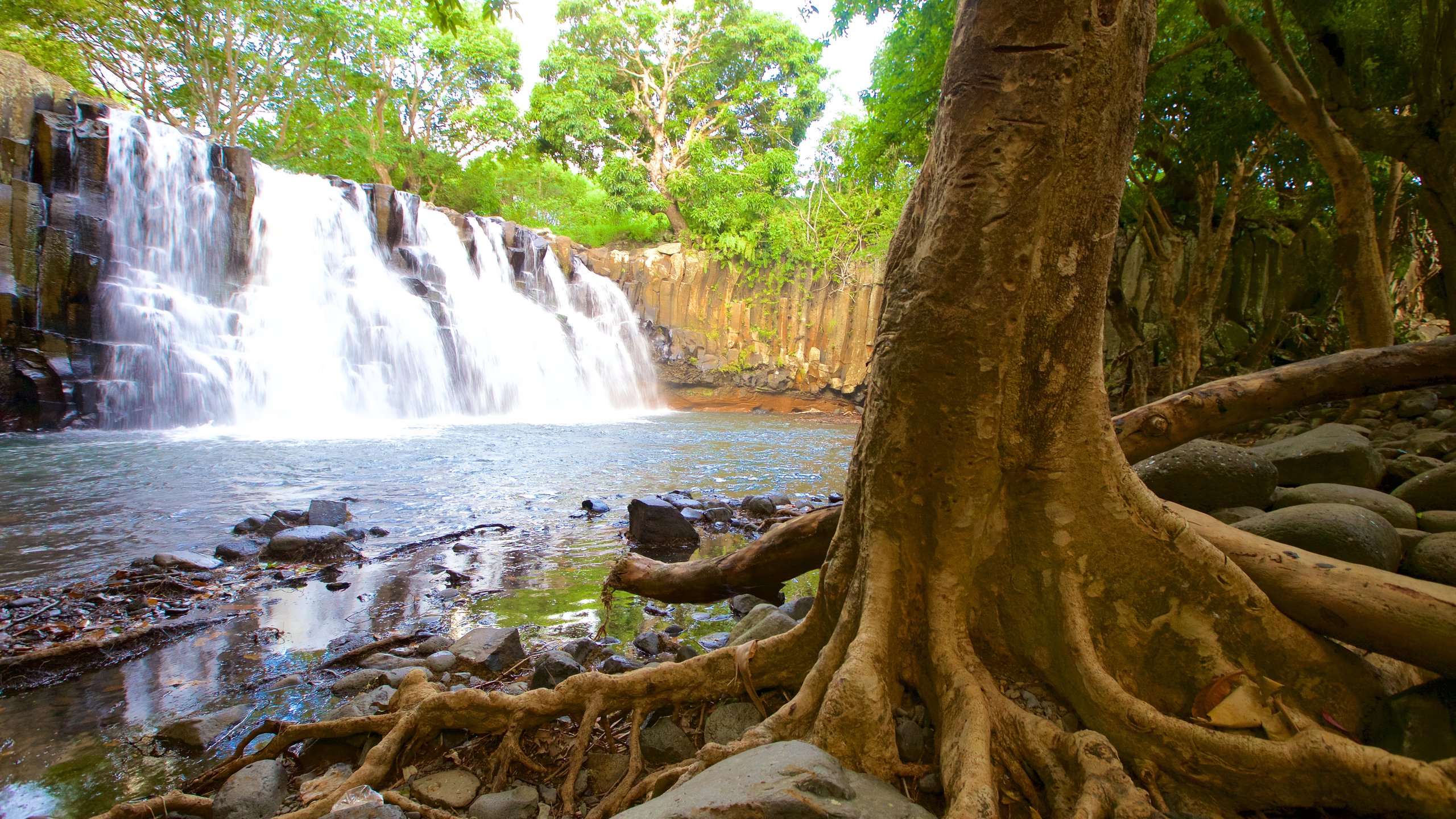 Black River Gorges National Park